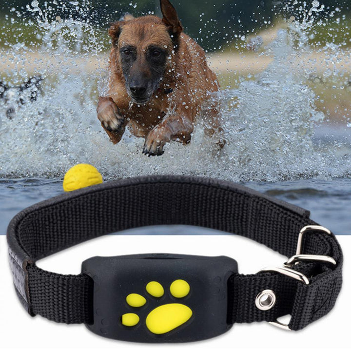 Pet GPS  Pet Tracker Collar