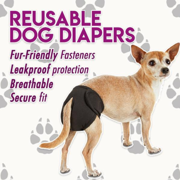 PetMate Washable  Dog Diaper Panty