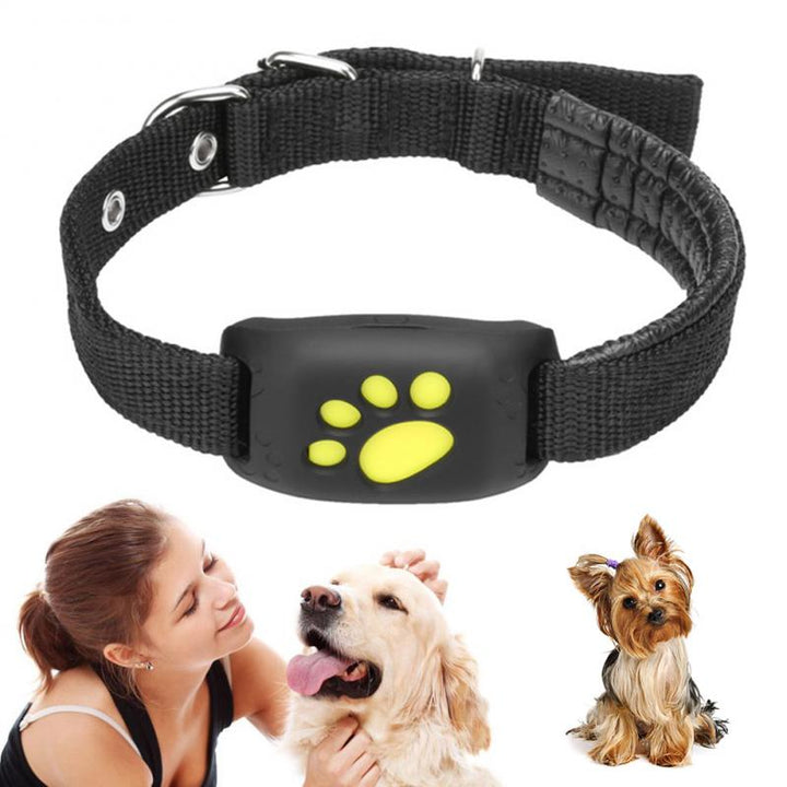 Pet GPS  Pet Tracker Collar