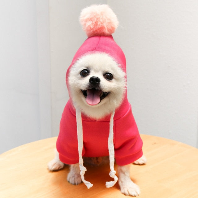 Pet Coat Hoodie Costume