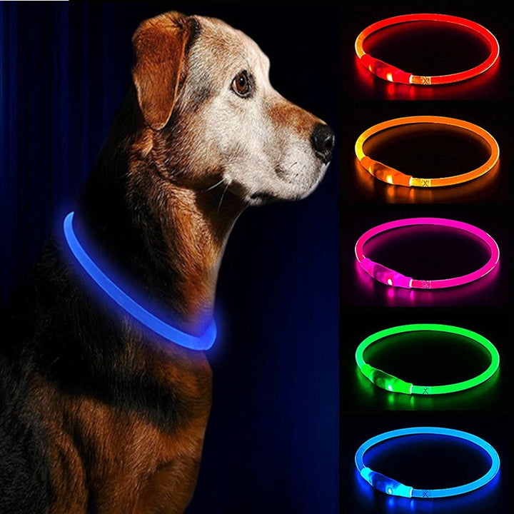 LED Waterproof Glow in Dark Dog Collars